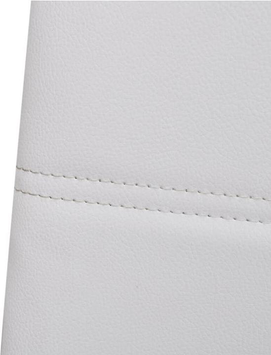 Actual product image VidaXL Dino