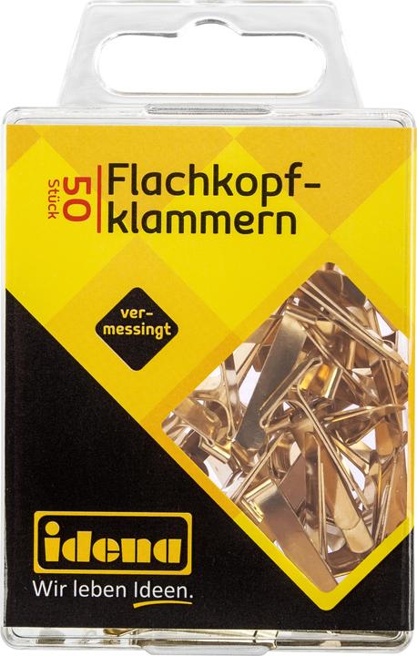 Actual product image Idena Flat head staples 50pcs., brass-plated (50 x)