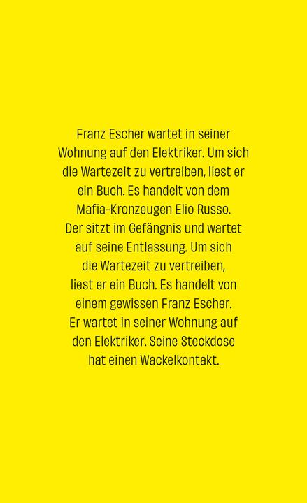 Produktbild Wackelkontakt (Deutsch, Wolf Haas, 2025)