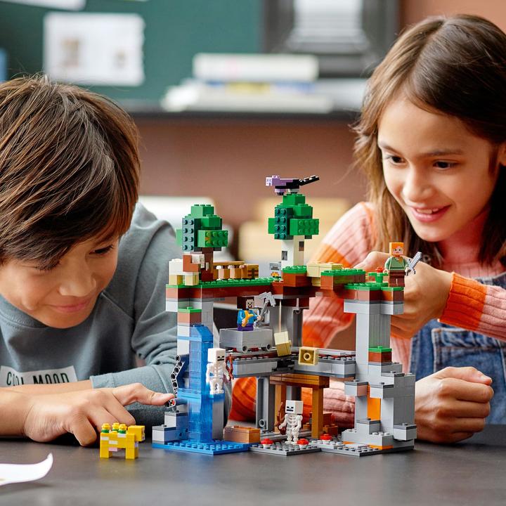 Image du produit LEGO La première aventure (21169, LEGO Minecraft)