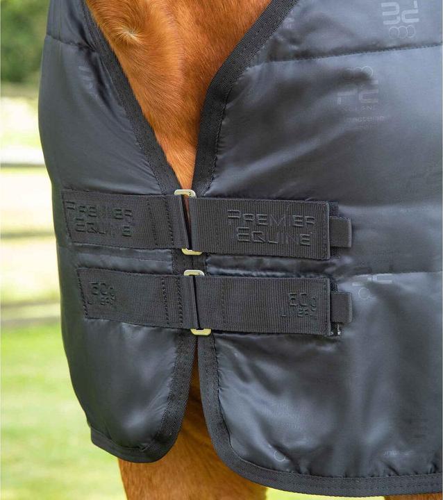 Image du produit Premier Equine 350 g
