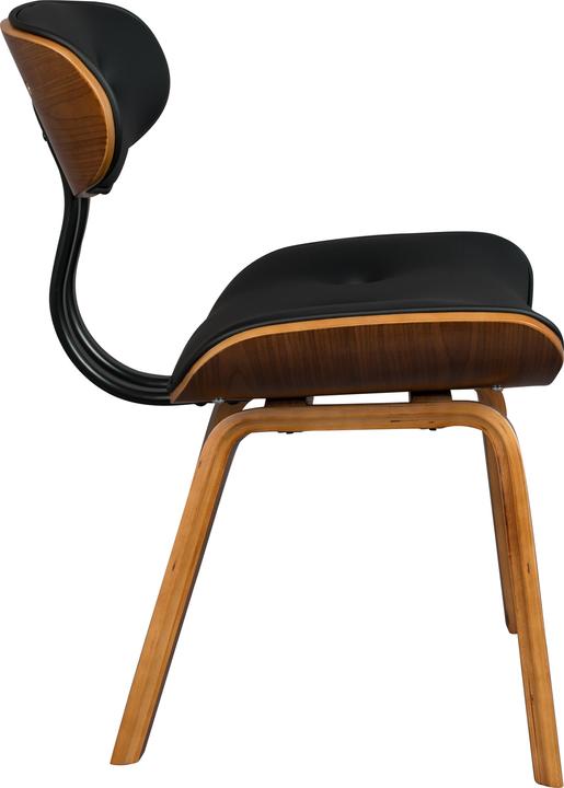 Image du produit Dutchbone Blackwood