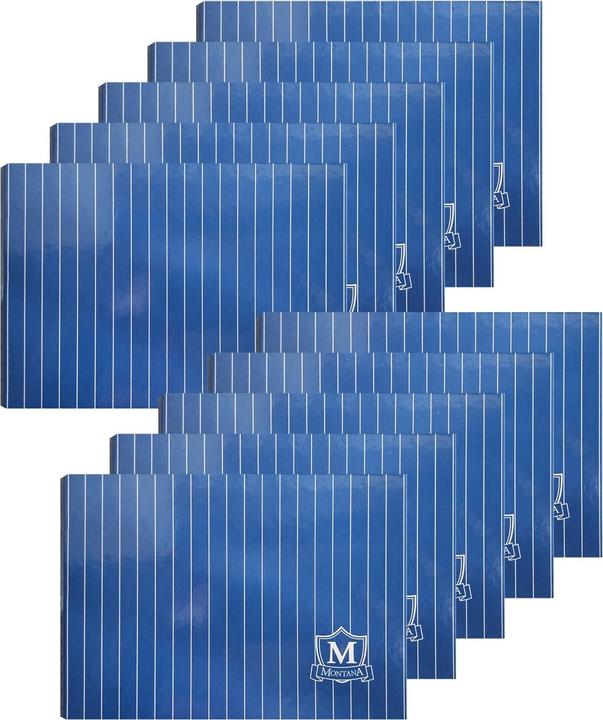 Image du produit Herlitz Classeur pour relevés bancaires Lot de 10 classeurs bancaires (45 mm, 10 pièce(s))