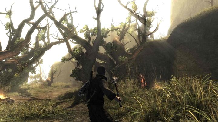 Produktbild THQ Risen Switch (Switch, Switch Lite, Switch OLED, DE)