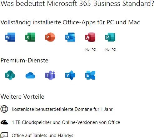 Actual product image Microsoft 365 Business Standard (1 User, 12 months)