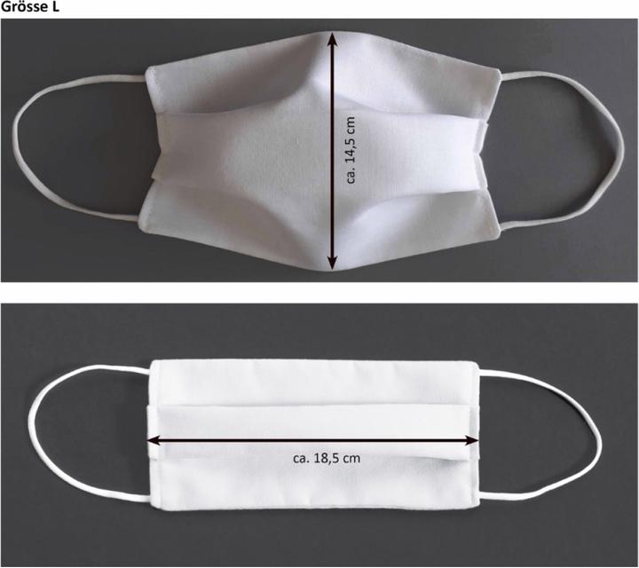 Produktbild Jakob Schlaepfer Testex Community Maske L schwarz (1 x)