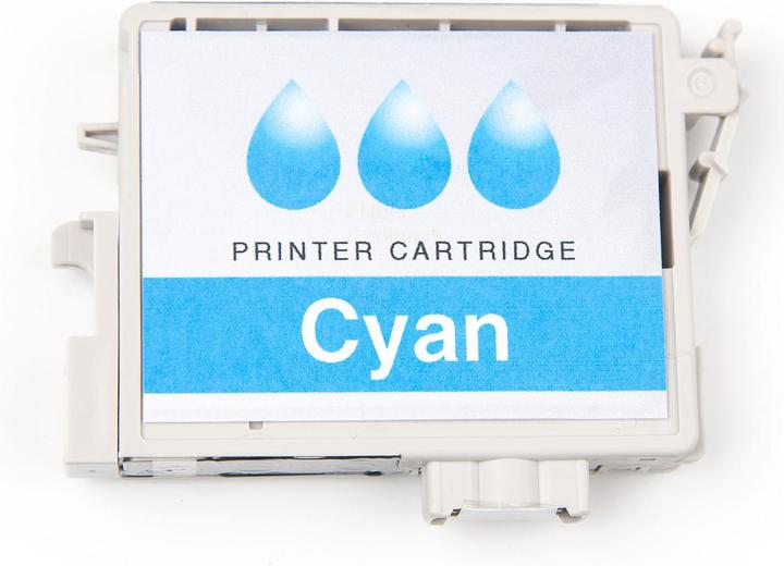 Actual product image Epson T6422 (C)