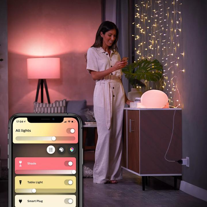 Actual product image Philips Hue Smart Plug