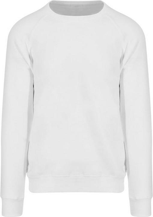 Blanc arctique