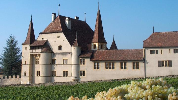 Immagine prodotto Degustazione di vini per due