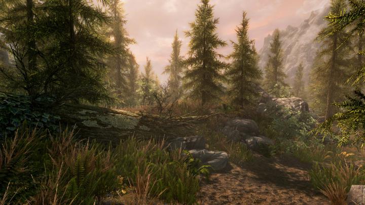 Produktbild Bethesda The Elder Scrolls V: Skyrim Special Edition (PS4)