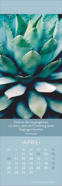Actual product image Gute Gedanken Lesezeichen & Kalender 2026 (6 x 18 cm, Hardcover, German)