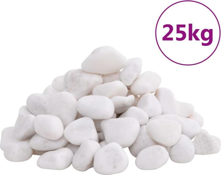 Image du produit VidaXL Galet poli 25 kg Blanc 2-5 cm,Couleur : Blanc,Matériau (Fond, Pierres)