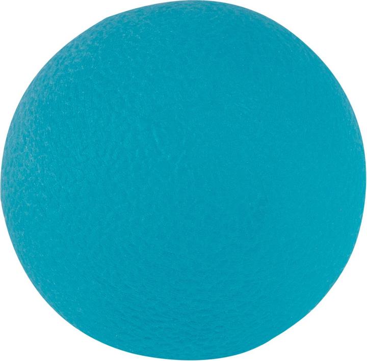 Sport-Thieme Hand trainer Physioball