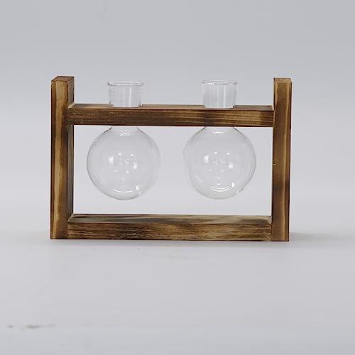 Produktbild Alopini Vermehrungsstation 2 Stück Glühbirne Avocado Vase Glas Eichel Vase Für Blumen Terrarium Jar