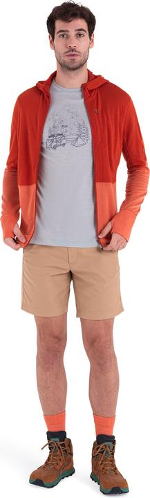 Immagine prodotto Icebreaker Merino 200 Realfleece Descender L/S Felpa con zip e cappuccio (M)