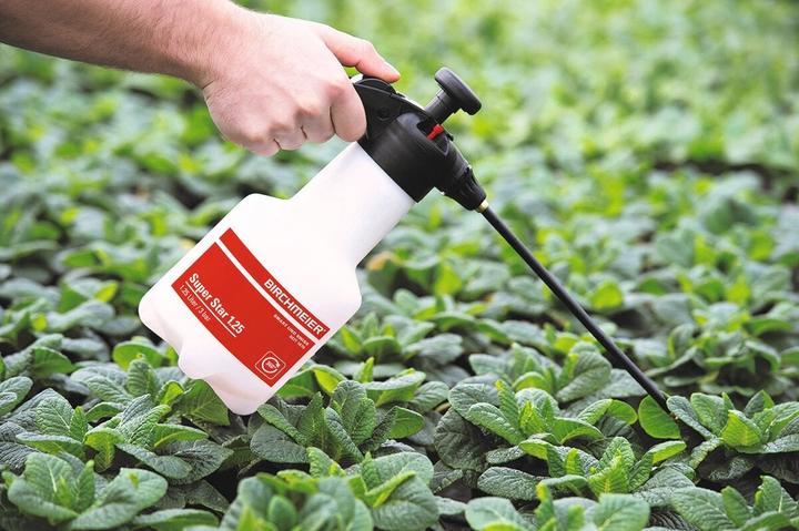 Immagine prodotto Birchmeier Stella super (1.25 l)