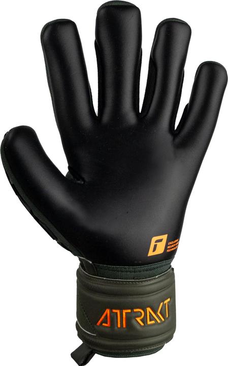 Produktbild Reusch Attrakt Freegel Silver Torwarthandschuhe Grün 5370035 5555 (10,5) (10.5)