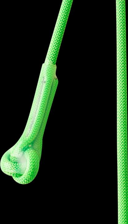 Actual product image Edelrid Switch Double Adjust