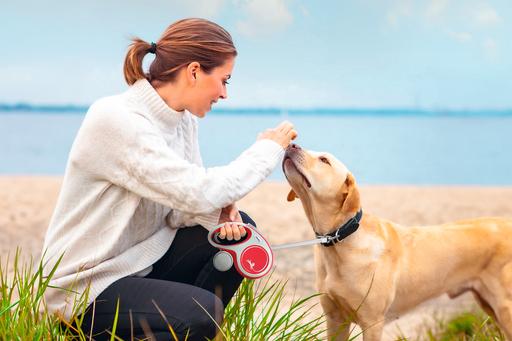Produktbild Flexi New Comfort Gurt (L, Hund, Spazieren)