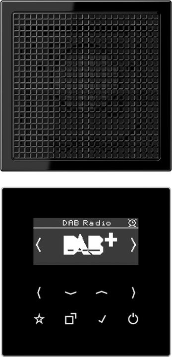 JUNG DABLS1SW DAB+ Set Mono (VHF, DAB+, FM)