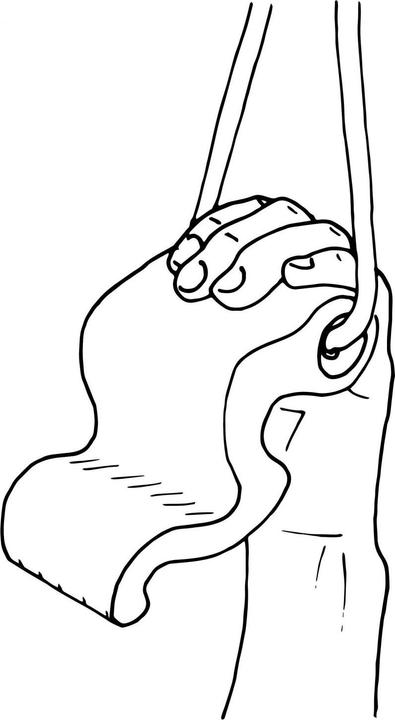 Immagine prodotto Max Climbing Maniglie di sospensione ibride Maxgrip