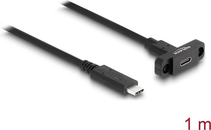 Delock SuperSpeed USB 10 Gbps 1m for installation black (1 m, USB 3.2 Gen 2)