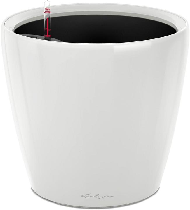 Image du produit Lechuza Classico (22 cm)