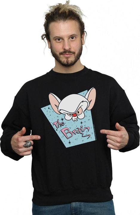 Image du produit Universal Textiles - Sweat THE BRAIN MUGSHOT - Homme (5XL)