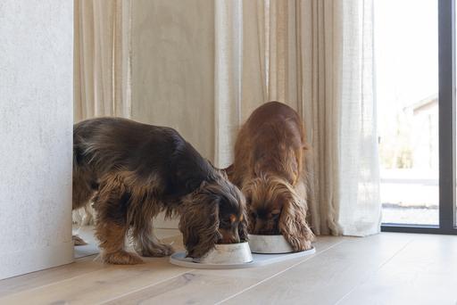 Image du produit Designed by Lotte Set de table Oona