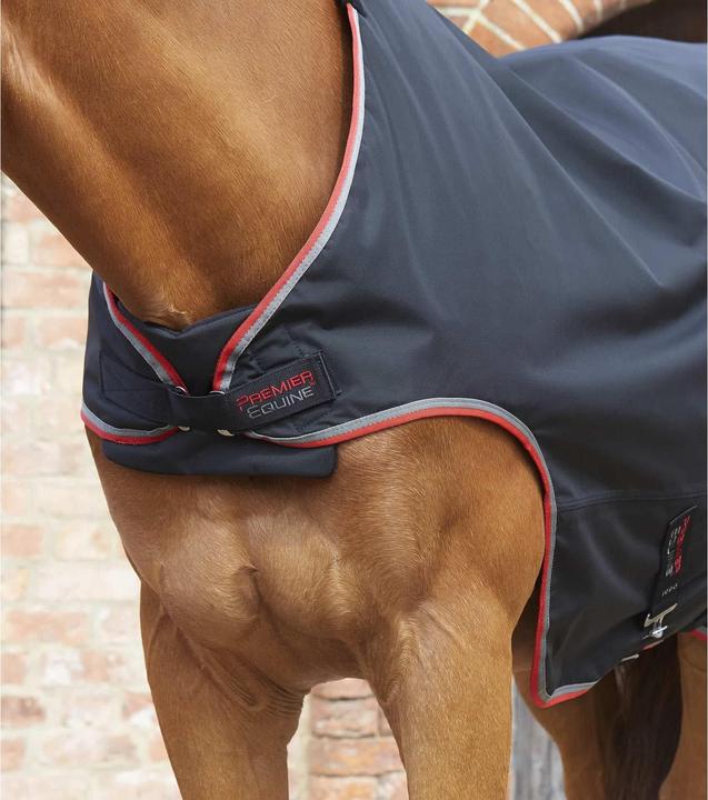 Actual product image Premier Equine 100 g (152 cm)