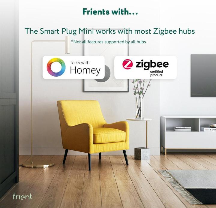 Immagine prodotto Frient FRIZSPLZB-141 - Smart Plug Mini 2 (Tipo F) - Schuko (Zigbee)