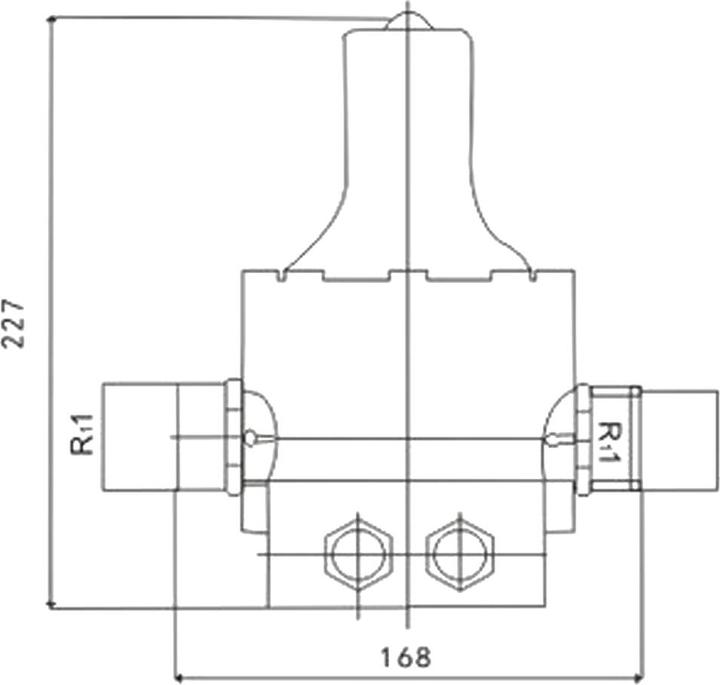 Actual product image Wiltec Pressure switch for domestic water pumps fountain pumps SKD 1 230V single phase (Domestic water pump)