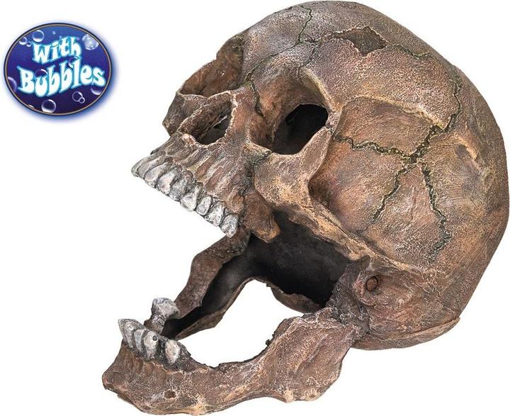 Image du produit Nobby Aqua Ornaments Tête de mort (Décoration, autres éléments)