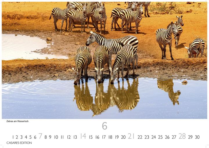 Produktbild Kenia/Serengeti 2026 S 24x35 cm (24 x 35 cm, Deutsch)