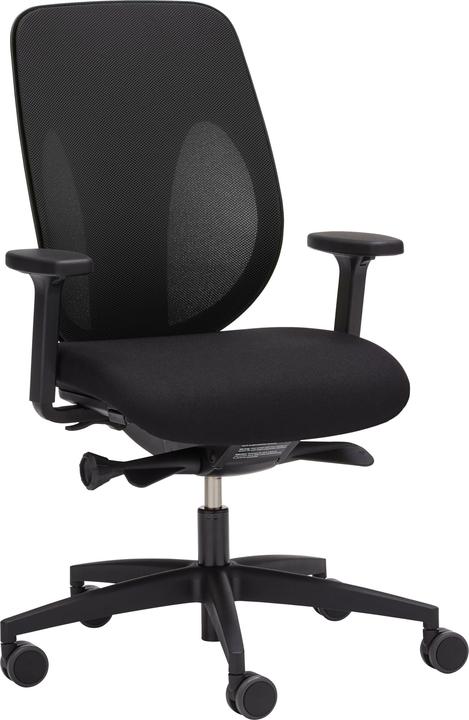 Giroflex 353 Netzrücken