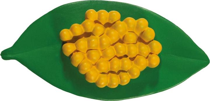 Produktbild HCM Kinzel Marienkäfer Lebenszyklus