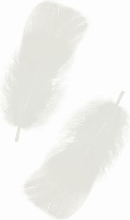 Actual product image Ursus Springs