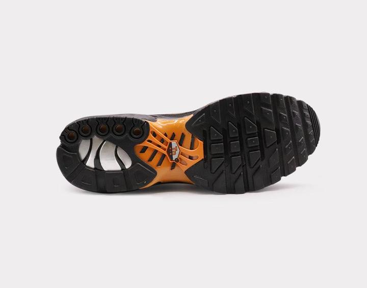 Image du produit Nike Air Max Plus (42)