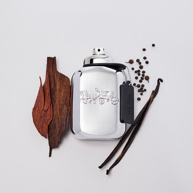 Image du produit Coach Hommes Platinum (Eau de parfum, 100 ml)