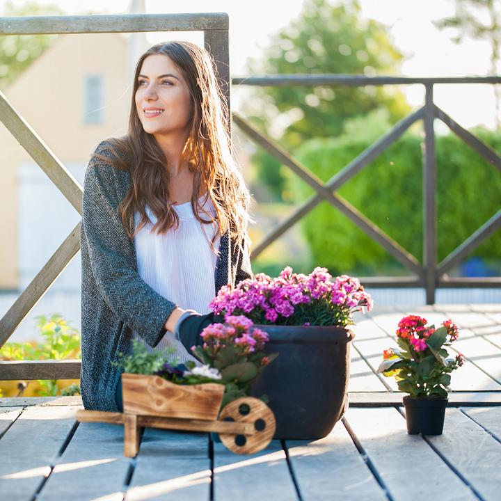 Actual product image Relaxdays Plant wheelbarrow (19 cm)