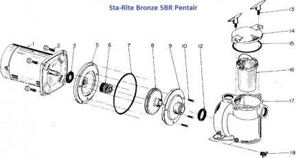 Produktbild Pentair Sta-Rite Bronze Pumpe BRF-1 1,5/PS 1,10kW 230V ref 5BRF-1E2