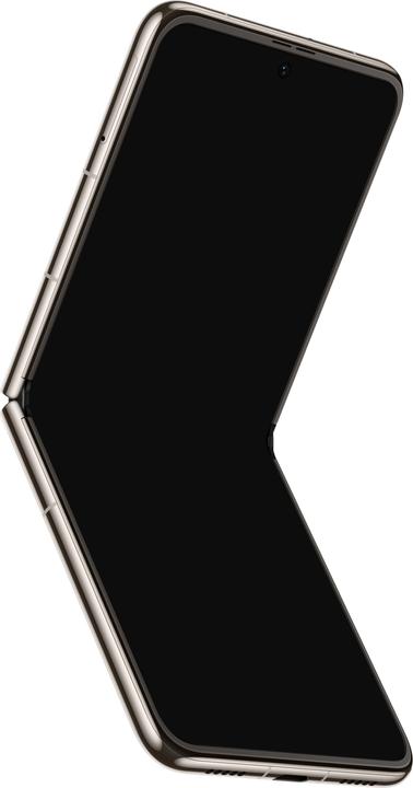 Produktbild Huawei P50 Pocket (512 GB, Premium Gold, 6.90", Dual SIM, 40 Mpx, 4G)