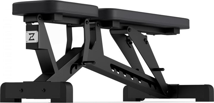 Actual product image Zipro Pump iron