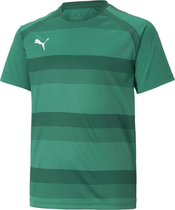 Actual product image Puma teamVISION Jersey Jr-704928 (176)