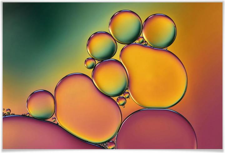 Immagine prodotto Trenddeko Westum - Bolle (100 x 70 cm)
