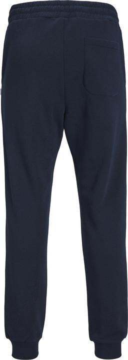 Actual product image Jack & Jones Gordon Bradley Sweatpants (M)
