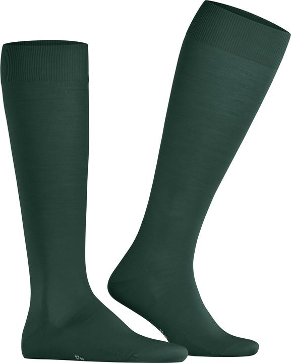 Falke Clima Wool