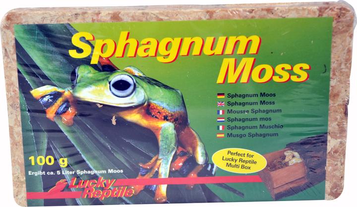 Lucky Reptile Mousse pour terrarium Sphagnum