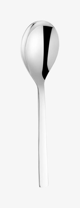 Actual product image WMF Nuova (Serving spoon)